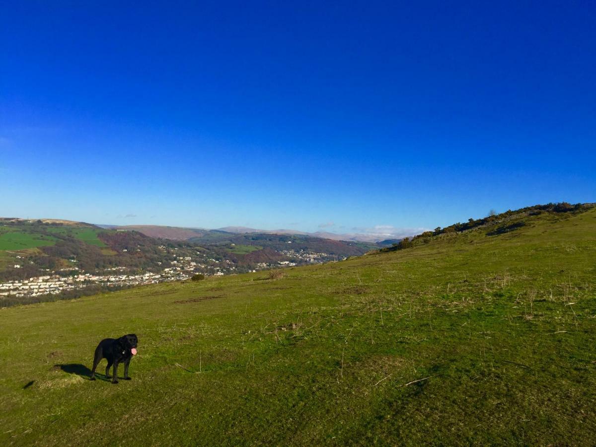Cilhendre Holiday Cottages Swansea Exteriör bild